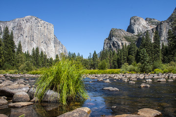 El Capitan mountain in Yosemite National park with creeck and gr