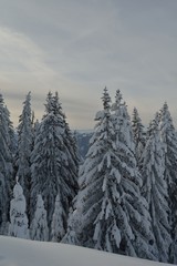 mountain winter landscape