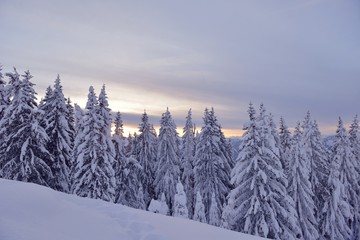Fototapeta na wymiar Zimowy krajobraz górski