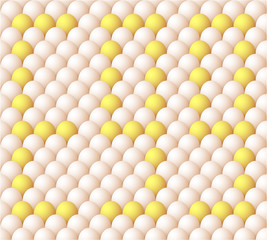 Vector Egg background