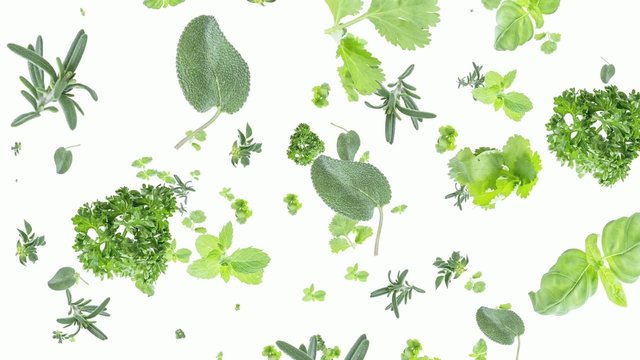 Herbs falling down (ends on blue)