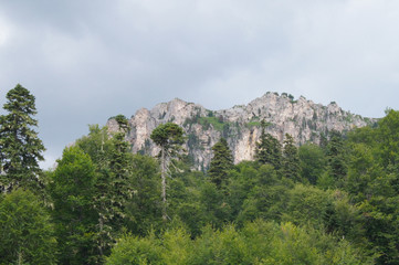 Fototapeta na wymiar Mountains of the Caucasian natural reserve