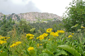 Mountains of the Caucasian natural reserve