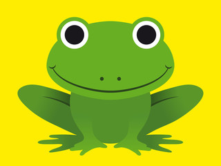 Obraz premium Cute happy smiling green frog