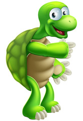 Fototapeta premium Cartoon Tortoise or Turtle pointing