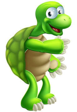 Cartoon Tortoise or Turtle pointing