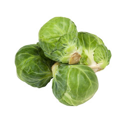 fresh aromatic brussel sprouts on a white background