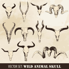 Wild Animal Skull Set - 48055270