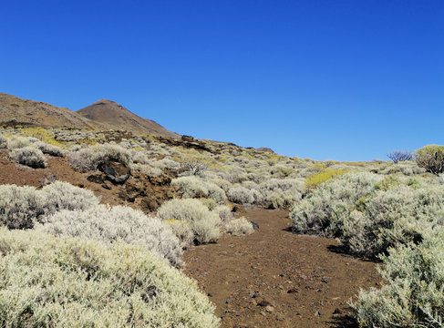 Volcanic Landscape, Hierro, Canary Islands