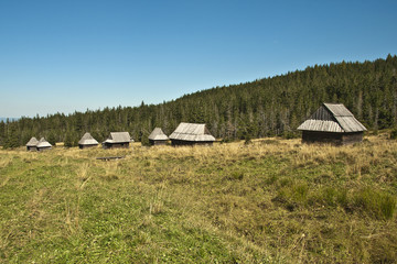 Tatry - polana olczyska