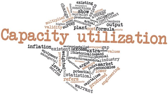 Word cloud for Capacity utilization