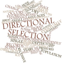 Word cloud for Directional selection