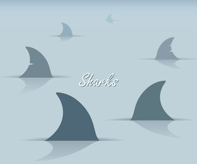 Fototapeta premium Sharks