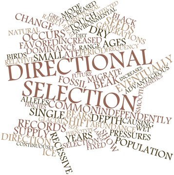 Word cloud for Directional selection