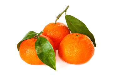 Three tangerines with stem and leaf