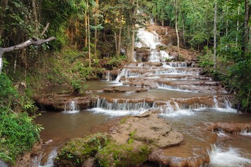 Fototapeta premium Jungle and waterfall
