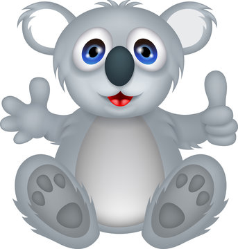 funny koala cartoon with thumb up