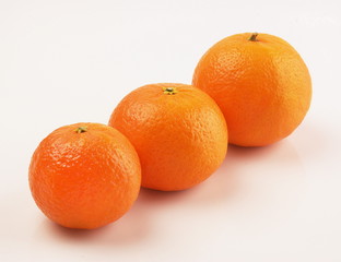 Orange mandarin
