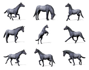 Set of blue roan horses - 3D render