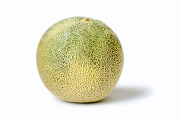 Cantaloupe melon