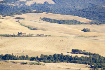 view of typical Tuscany landscape in summer, Italy
