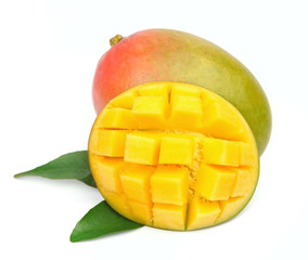 Mango fetus fruit