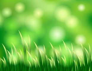 Fototapeta na wymiar tle trawy dla Ciebie wzorem