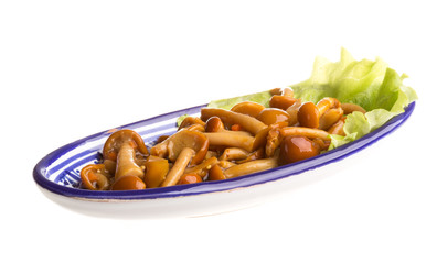 agaric honey at plate