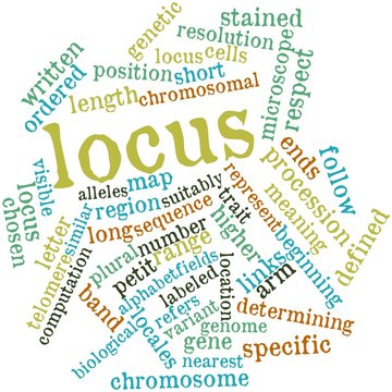 Word cloud for Locus