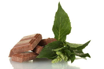 Pieces of chocolate and mint isolated on white