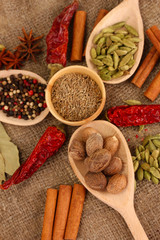 Nutmeg and other spices on sackcloth background