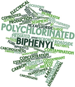 Word cloud for Polychlorinated biphenyl