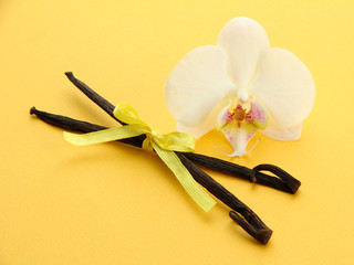 Vanilla pods with flower, on yellow background