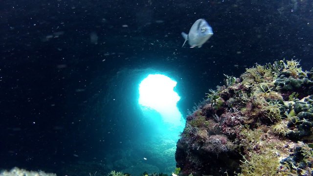 Underwater cave