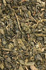 aromatic green dry tea, close up