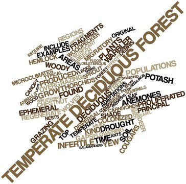 Word cloud for Temperate deciduous forest