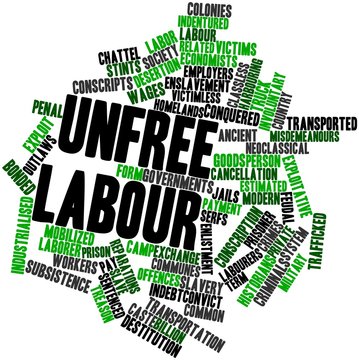 Word Cloud For Unfree Labour