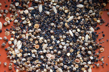 Mixed Seed on Terracotta Plant Pot - Background Texture.