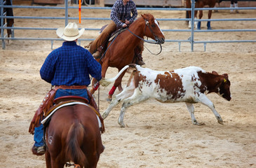 rodeo competition is about to begin