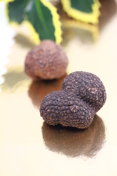 truffes noires en duo
