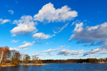 view of the lake and shore, overgrown forest