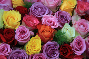 Mixed roses