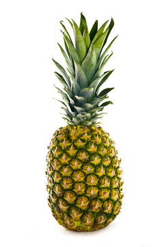 ripe pineapple  on white background