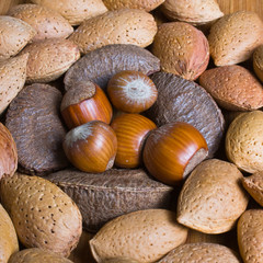 Mixed nuts in the shell