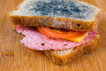 moldy sandwich with salami, tomatoes on a chopping board