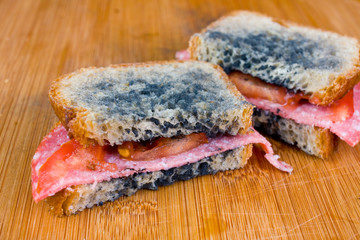 moldy sandwich with salami, tomatoes on a chopping board