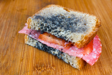 moldy sandwich with salami, tomatoes on a chopping board