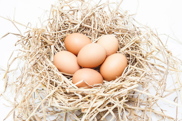Eggs