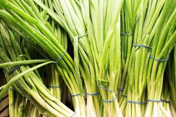 green onion bunches at market
