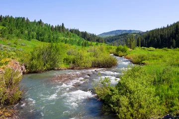 Fotobehang Countryside with a creek in Idaho State © Andy